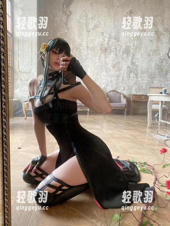 进入Vinnegal的柚璃羽地狱乐园，规则是：无圣光，只有套图和快乐！